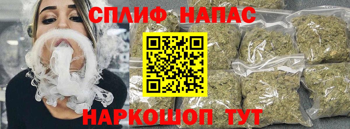 Бошки Шишки планчик Тольятти